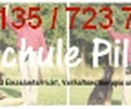 Hundeschule Pilsberger Logo