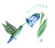 Kolibri trinkt von einer blauen Glockenblume. Text: "Seit 1996".