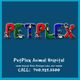 PetPlex Animal Hospital logo with contact info and address on a blue background.