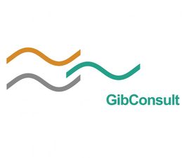 Logo mit drei wellenförmigen Linien in Orange, Grau, Türkis und dem Text "GibConsult".