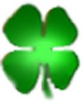 Verschwommenes grünes vierblättriges Kleeblatt, das Glück symbolisiert.