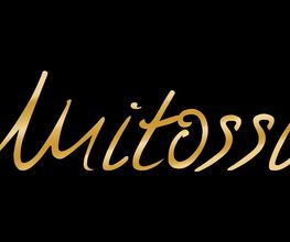 mitossi Logo