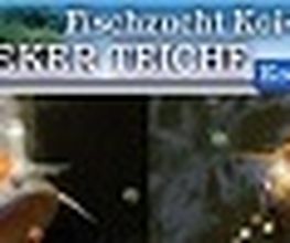 Koi-Center Schafflund Logo