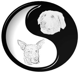 Yin-Yang-Symbol mit Hundezeichnungen in Schwarz-Weiß, Hund oben, anderer unten.
