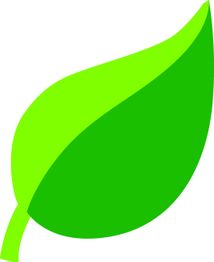 Grünes Blatt-Icon auf weißem Hintergrund, symbolisiert Natur und Umweltfreundlichkeit.