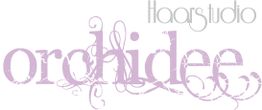 Text "Haarstudio Orchidee" in lila und grau, verziert mit floralen Ornamenten.