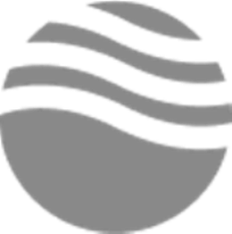 Logo grigio con onde curve su una sfera.