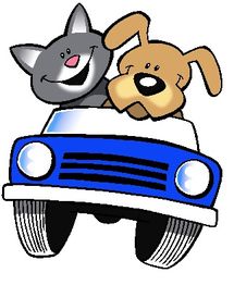 Katze und Hund fahren zusammen lachend in einem blauen Auto.