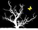 Weiße Baum-Silhouette auf schwarzem Hintergrund, gelber Schmetterling oben rechts.