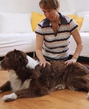 Mobile Tierheilpraxis Logo