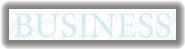 Der Text "BUSINESS" in hellblauem Schriftzug mit grauem Schlagschatten auf weißem Hintergrund.