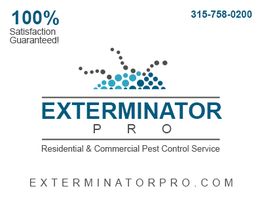 Exterminator Pro logo with dots and text; pest control service, phone number, website included.