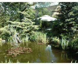 Teich und Himmelbett im Freien