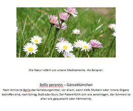 Naturheilmedizin: Natur hilft heilen mittels Homöopathie
