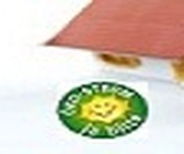 Felix Mobile Logo