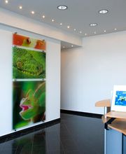 Bilder auf 8mm ESG Glas im Transparentdruck