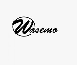 Schwarzes Logo mit dem Schriftzug "Wasemo" in geschwungener Schrift auf weißem Hintergrund.