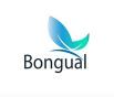 Logo mit blau-grüner Blattform über dem Wort "Bongual" auf weißem Hintergrund.