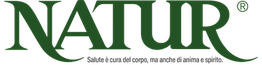 Logo verde con testo "Nazarbayev University" sopra una linea tratteggiata.