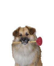 Abflussdienst Berlin-Brandenburg Logo