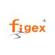 Logotipo de "figex" naranja con registro y líneas en gris simulando grietas.