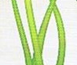 garden & landscaper Logo
