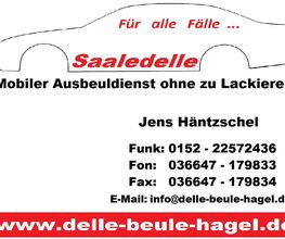 Saaledelle Logo