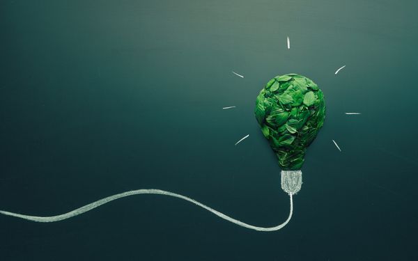 Win-win - Klimaneutralität näherkommen – Stromkosten planbar gestalten