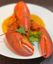 Langosta cocinada servida en un plato blanco con guarnición de perejil sobre salsa amarilla.