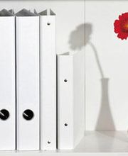 Ordner und rote Blume in Vase auf Regal.