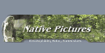 Banner mit der Aufschrift "Native Pictures" vor einem Waldhintergrund. Links ist eine Statue.