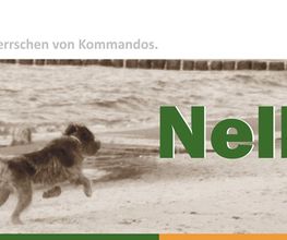 Hundeschule NelloBello Logo
