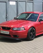 Lackpflege Ford Mustang