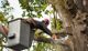 Worker in safety gear using a chainsaw to cut a large tree branch from a lift bucket.