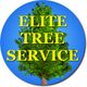 Logo of "Elite Tree Service" with a tree illustration on a blue circle background.