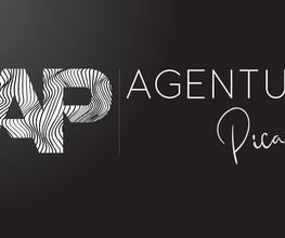 Agentur Picasso Logo