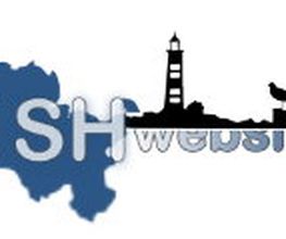 WolfMedia Logo
