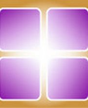 Evolution Management Logo