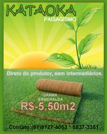 Anúncio de paisagismo com grama esmeralda a R$ 5,50/m². Contatos para compra incluídos.