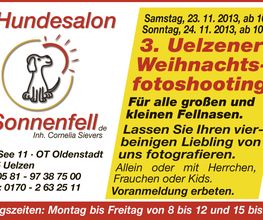 3. Uelzener Weihnachtsfotoshooting für Hunde, Katzen, Häschen & Co.