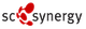 Logo mit rotem abstraktem Muster, daneben der Text "synergy" in Schwarz.