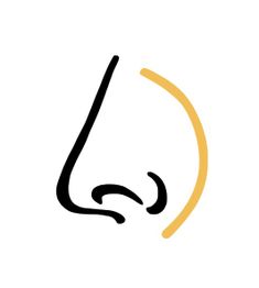 Minimalistisches Symbol einer Nase in Schwarz und Gelb auf weißem Hintergrund.