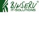 Grünes Logo von BINSERV IT-Solutions mit stilisiertem Design links.
