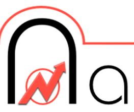 Elektro Naumann Logo