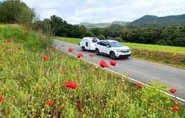 Carretera rural con coche y caravana; flores rojas en primer plano, colinas al fondo.