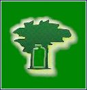 Grünes Baumsymbol mit Flasche auf grünem Hintergrund.