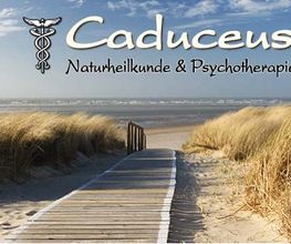 Heilpraktikerschule Caduceus Logo