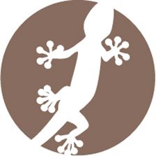 Ein stilisierter Gecko auf braunem Kreis, schaut nach oben, mit gespreizten Zehen.