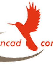 encad consulting GmbH Logo