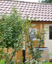 Das Schnapshäusle - urig und kultig - mit feinem Sortiment